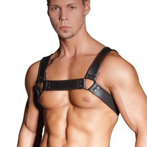 Leder-Harness