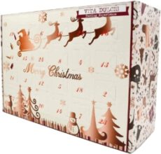 Gin Adventskalender 2020